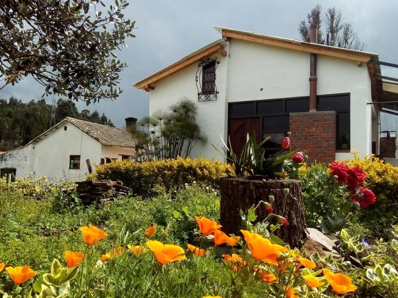 Cabanas & Glamping De Ruana Por Boyaca Paipa Exteriér fotografie